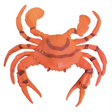 8cm/3" Loose Crab in display box