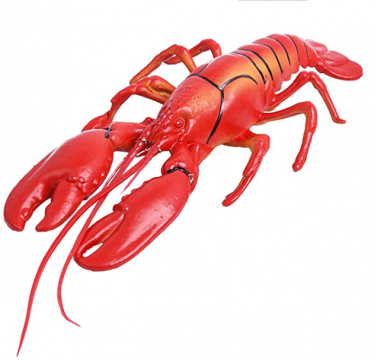 8cm/3" Loose Lobster in display box