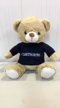 Cleethorpes 30cm Plush Bear & Jumper
