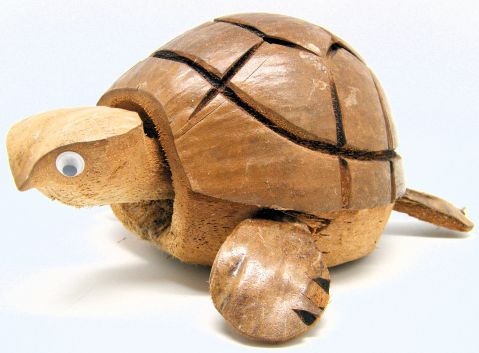 Coconut Nodding Turtle WD511