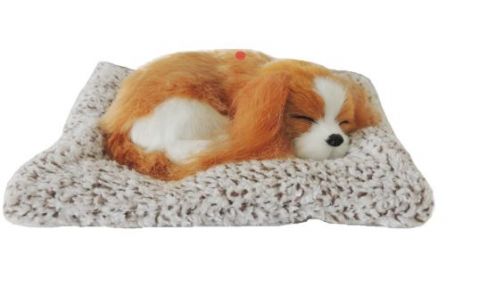 Furry Dog on Mat with Sound