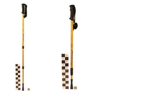 3 Section Trekking Pole