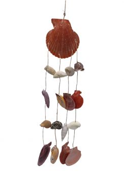 Pectin Nobilys Vertical Sea Shell Mobile