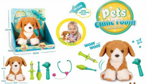 Pets Clinic Room Dog