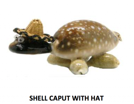 Shell Turtle wit Hat (In Basket)