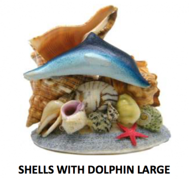 Shells with Large Dolphin