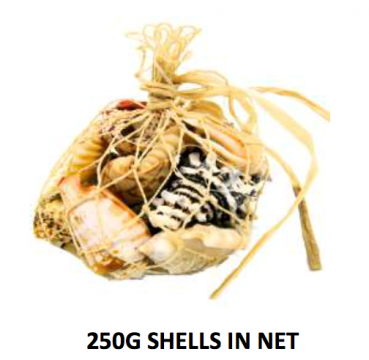 250g Bag of Shells
