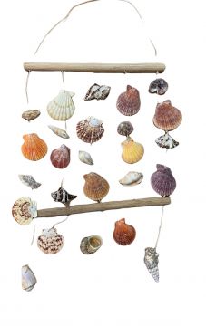 5 drop Sea Shell Mobile