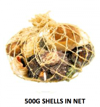 500g Bag of Shells