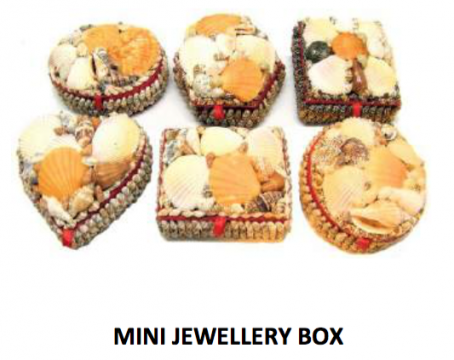 6 Assorted Large Shell Box