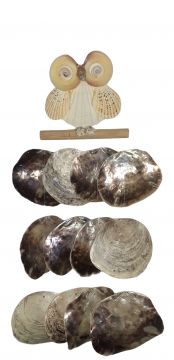Hanging Shell Owl on Perch