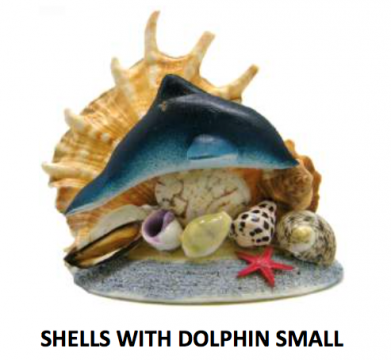 Shells with Small Dolphin