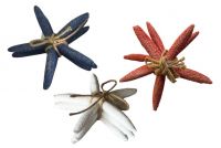 3 Astd 13cm Coral Starfish