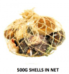 500g Bag of Shells