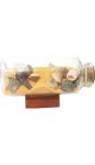 12cm Sand/ Shells in Bottle (8 Astd)