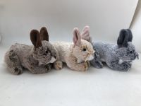 24cm Bunny Rabbit 3 Astd Colours