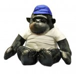 50cm Naughty Gorilla with T- shirt & Cap