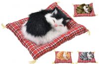 Furry Cat on Mat
