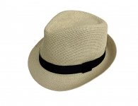 Mens Best Trilby Hat