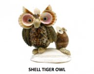 Shell Tiger Owl